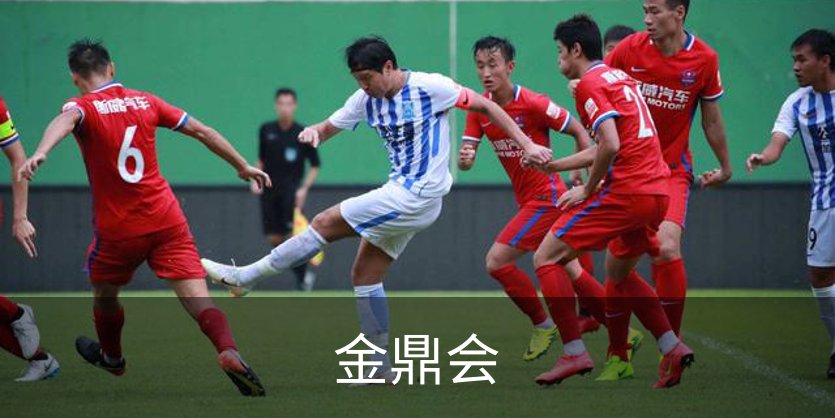了解金鼎会